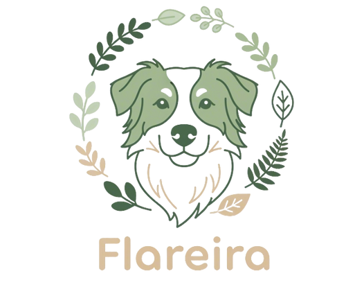  Flareira